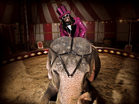 T-pain (16).jpg