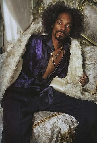 SnOOp DoGG (23).jpg