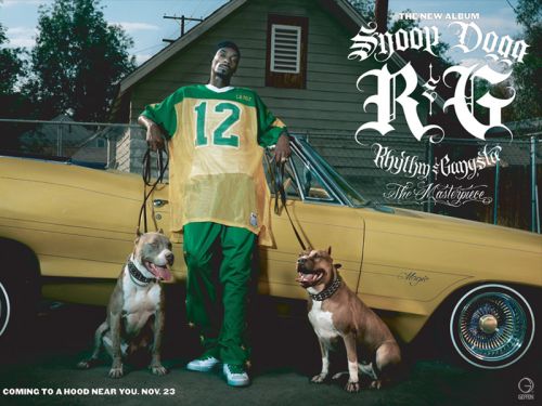 SnOOp DoGG (9).jpg