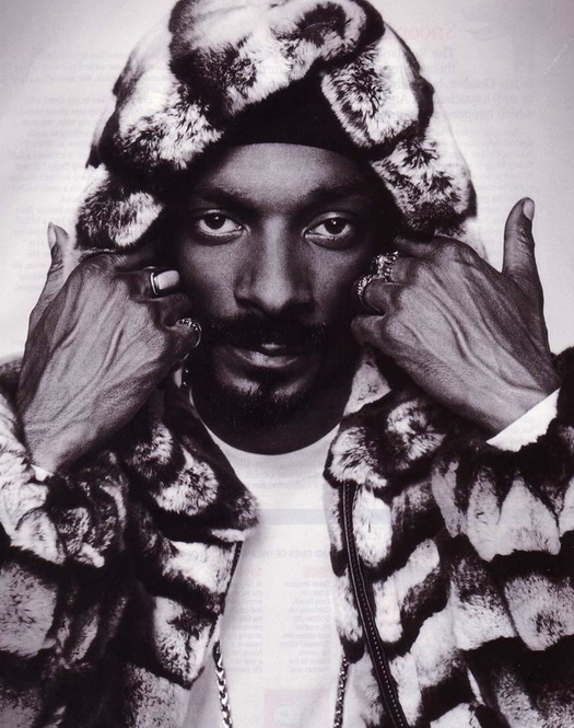 SnOOp DoGG (15).jpg