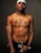 NeLLy (15).jpg