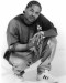 X-ZIBIT (7).JPG